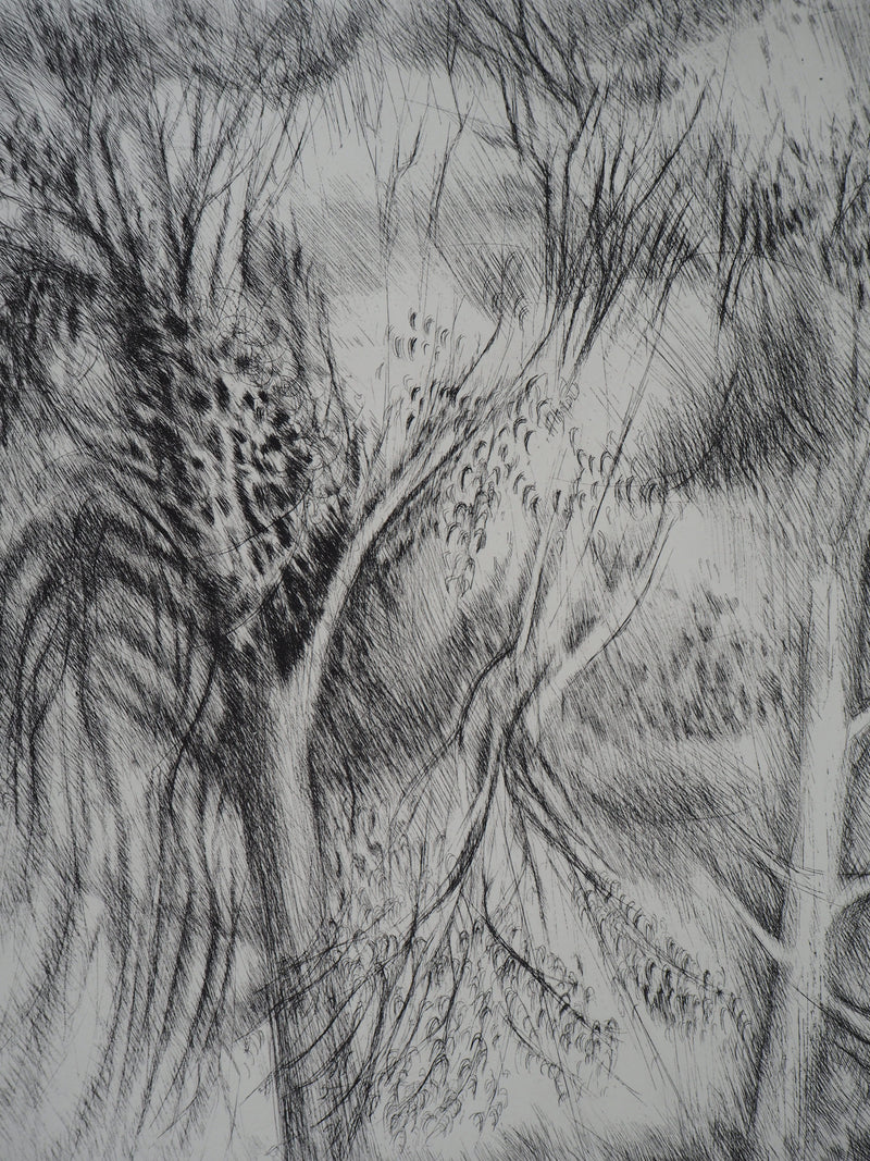 Janine ACREMANT : Les Arbres - Gravure (détail)