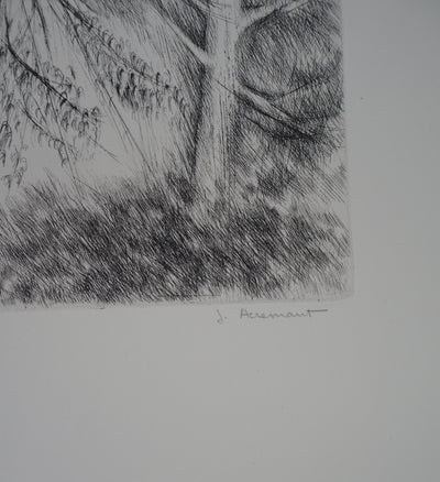 Janine ACREMANT : Les Arbres - Gravure (détail)