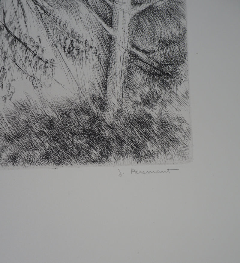 Janine ACREMANT : Les Arbres - Gravure (détail)