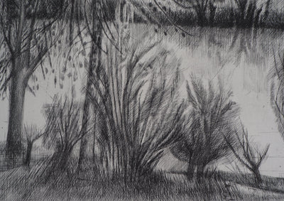 Janine ACREMANT : En forêt - Gravure (détail)