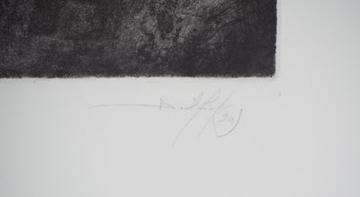 Daniel AIRAM : Sully - Gravure (détail)