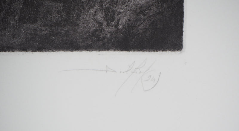 Daniel AIRAM : Sully - Gravure (détail)