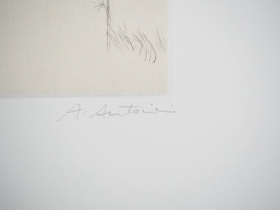 Annapia ANTONINI : Le giardino - Gravure (détail)