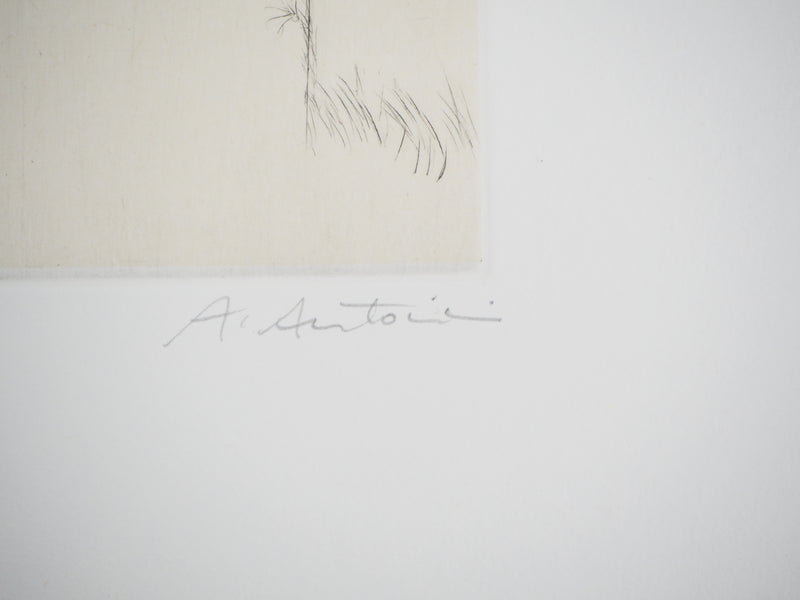 Annapia ANTONINI : Le giardino - Gravure (détail)