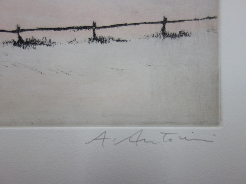 Annapia ANTONINI : Le soleil d&