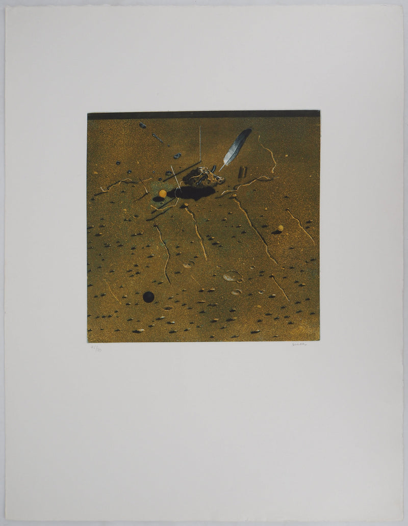 Hiroshi ASADA : Autour d&