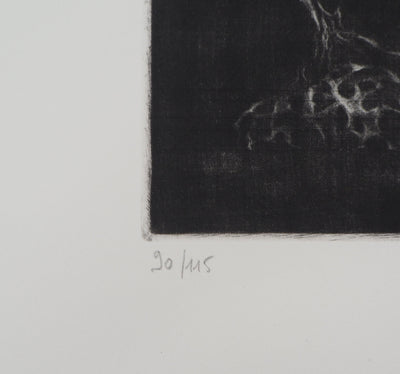 Hiroshi ASADA : Les gardiennes de la nature - Gravure (détail)