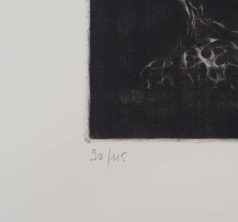 Hiroshi ASADA : Les gardiennes de la nature - Gravure (détail)