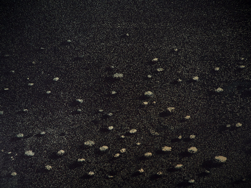 Hiroshi ASADA : Nuit sans lune - Gravure (détail)
