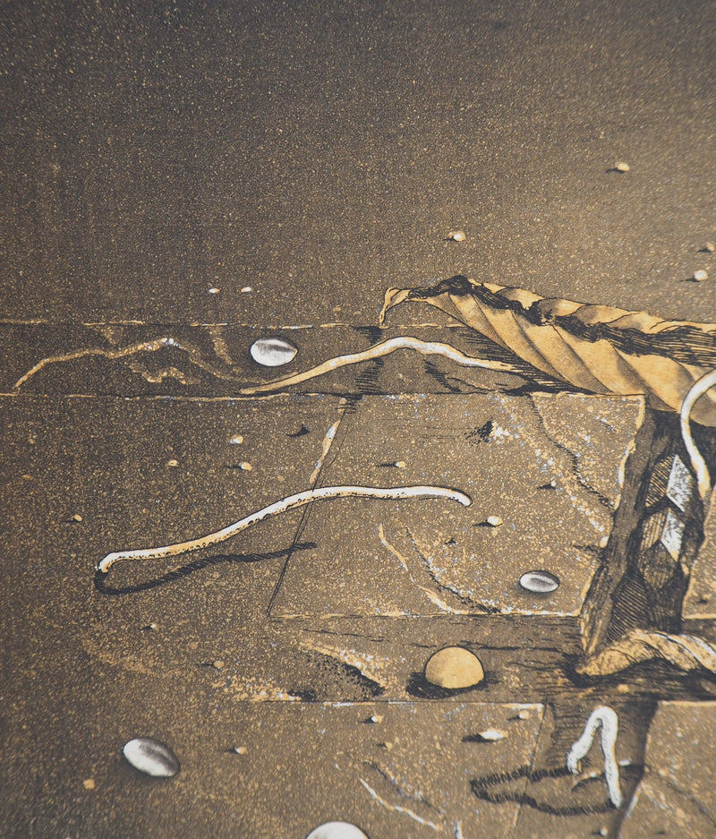 Hiroshi ASADA : Pavement couvert de rosée - Gravure (détail)
