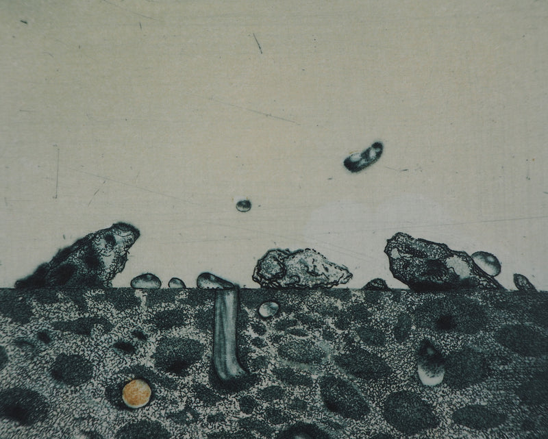Hiroshi ASADA : Rochers verts - Gravure (détail)