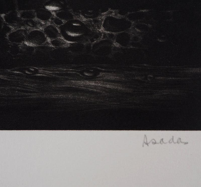 Hiroshi ASADA : Les yeux de bois - Gravure (détail)