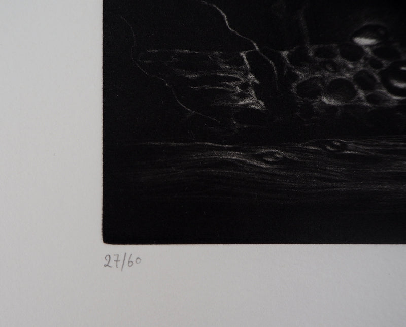 Hiroshi ASADA : Les yeux de bois - Gravure (détail)