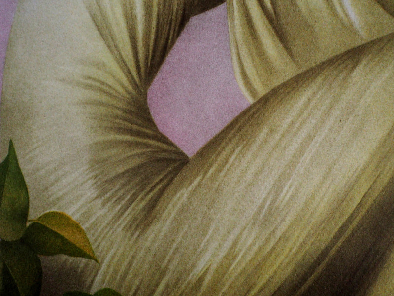 Philippe AUGE : Les trois grâces - Lithographie (détail)