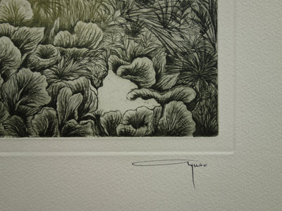Alfonso AYUSO : Estival - Gravure (détail)
