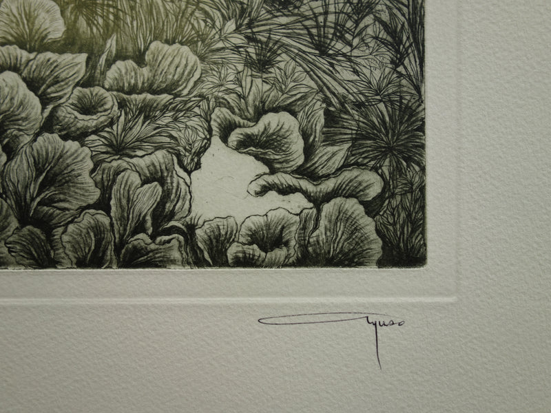 Alfonso AYUSO : Estival - Gravure (détail)