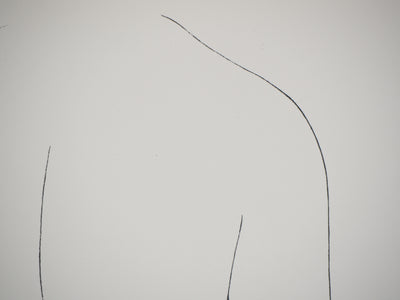 Jean Louis BABELAY : Femme nue de dos - Lithographie (détail)