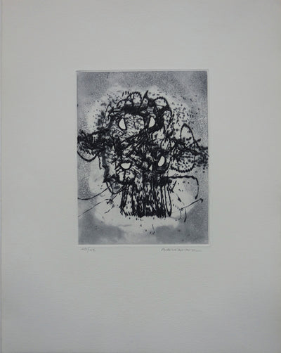 Julius BALTAZAR : Astronomie - Gravure