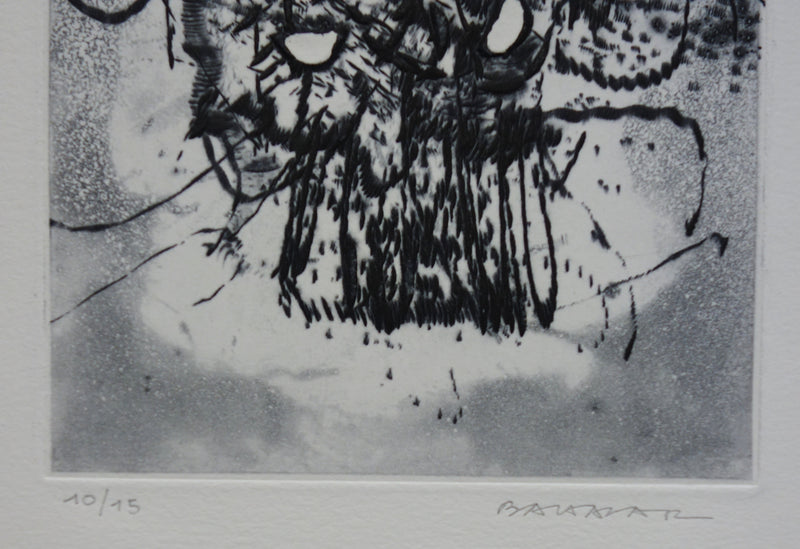 Julius BALTAZAR : Astronomie - Gravure (détail)