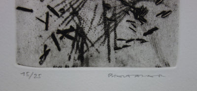 Julius BALTAZAR : Graminées - Gravure (détail)