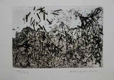 Julius BALTAZAR : Paysage à la japonaise - Gravure