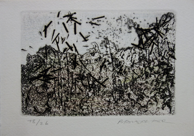 Julius BALTAZAR : Paysage à la japonaise - Gravure