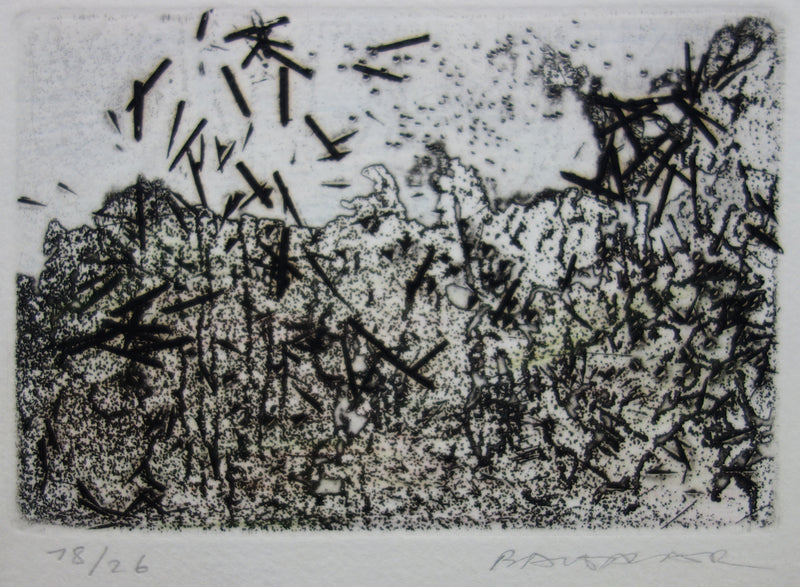 Julius BALTAZAR : Paysage à la japonaise - Gravure (détail)