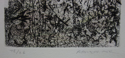 Julius BALTAZAR : Paysage à la japonaise - Gravure (détail)