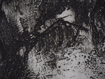 Fabienne BARRANGER : Ballade - Gravure (détail)