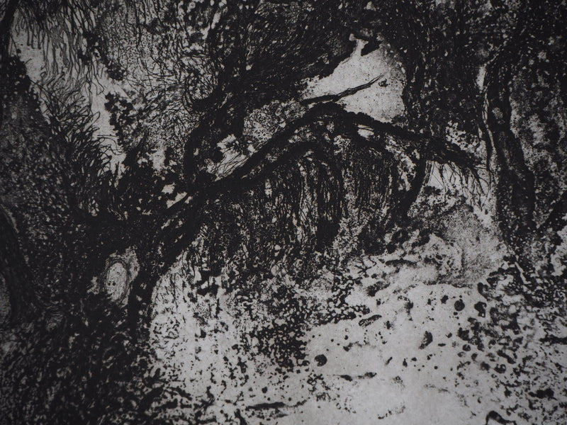 Fabienne BARRANGER : Ballade - Gravure (détail)