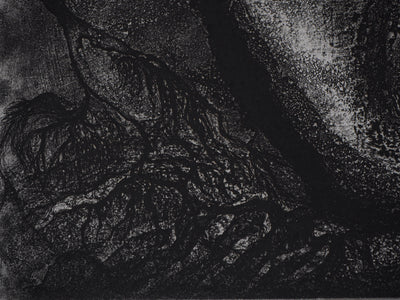 Fabienne BARRANGER : Histoire d'arbre - Gravure (détail)