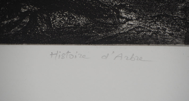 Fabienne BARRANGER : Histoire d&