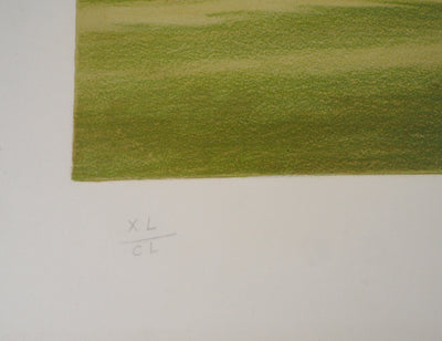 Pierre BAZIRE : Paysage en Normandie - Lithographie (détail)