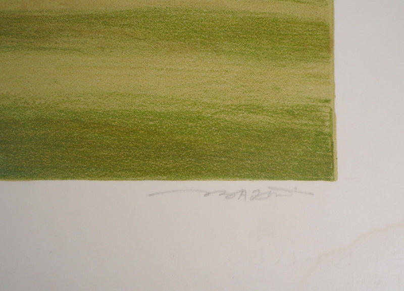 Pierre BAZIRE : Paysage en Normandie - Lithographie (détail)