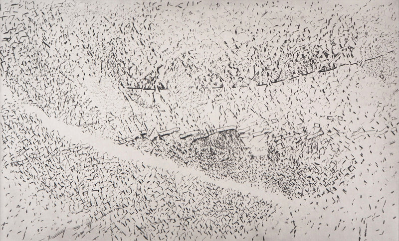 François BEALU : Le chemin de Kebili, 1992 - Gravure (détail)