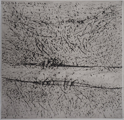François BEALU : Chemin de traverse - Gravure (détail)