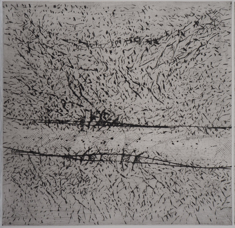 François BEALU : Chemin de traverse - Gravure (détail)