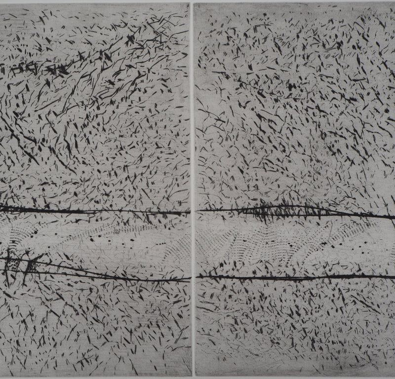 François BEALU : Chemin de traverse - Gravure (détail)