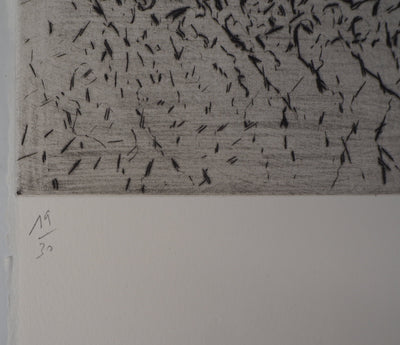 François BEALU : Chemin de traverse - Gravure (détail)