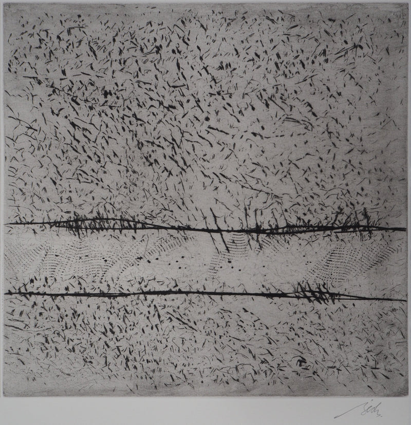 François BEALU : Chemin de traverse - Gravure (détail)