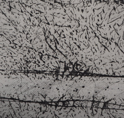 François BEALU : Chemin de traverse - Gravure (détail)