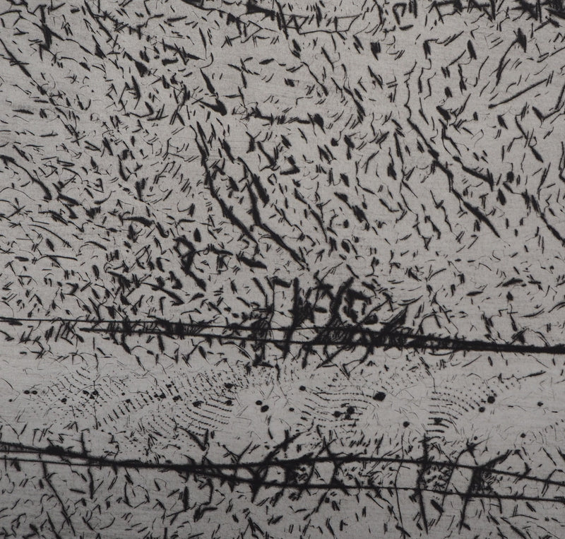 François BEALU : Chemin de traverse - Gravure (détail)