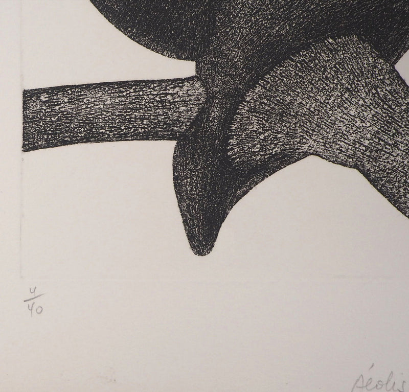 François BEALU : Dionée - Gravure (détail)