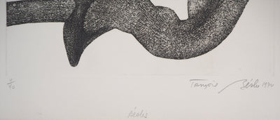 François BEALU : Dionée - Gravure (détail)