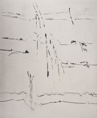 François BEALU : L'hypothèse des sables, 1992 - Gravure (détail)