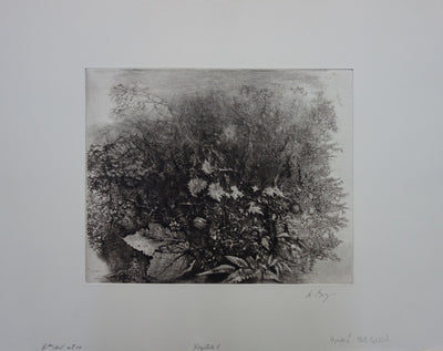 André BEGUIN : Végétale - Gravure