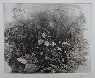 André BEGUIN : Végétale - Gravure (détail)