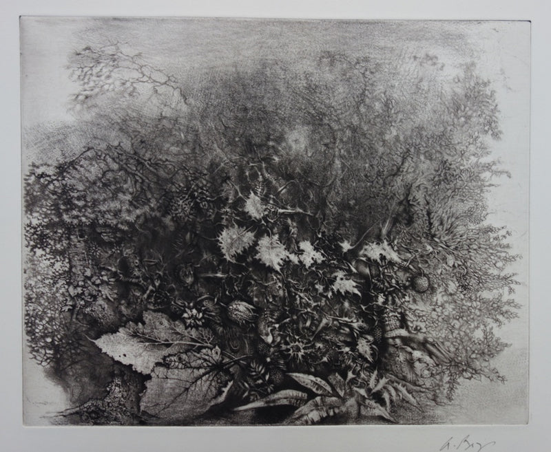 André BEGUIN : Végétale - Gravure (détail)