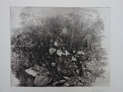 André BEGUIN : Végétale - Gravure (détail)
