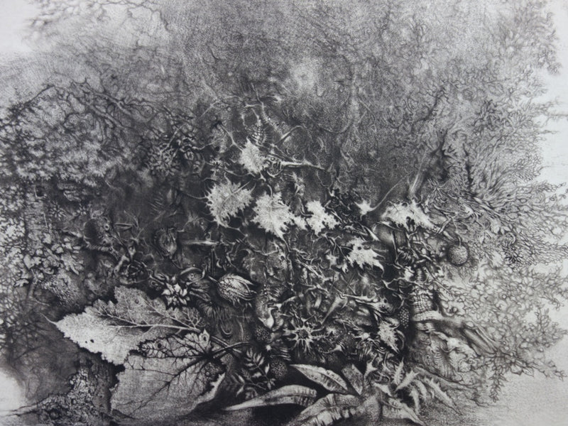 André BEGUIN : Végétale - Gravure (détail)
